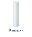 CARTUCHO DE SEDIMENTOS PS5 2.5X10 PENTEK